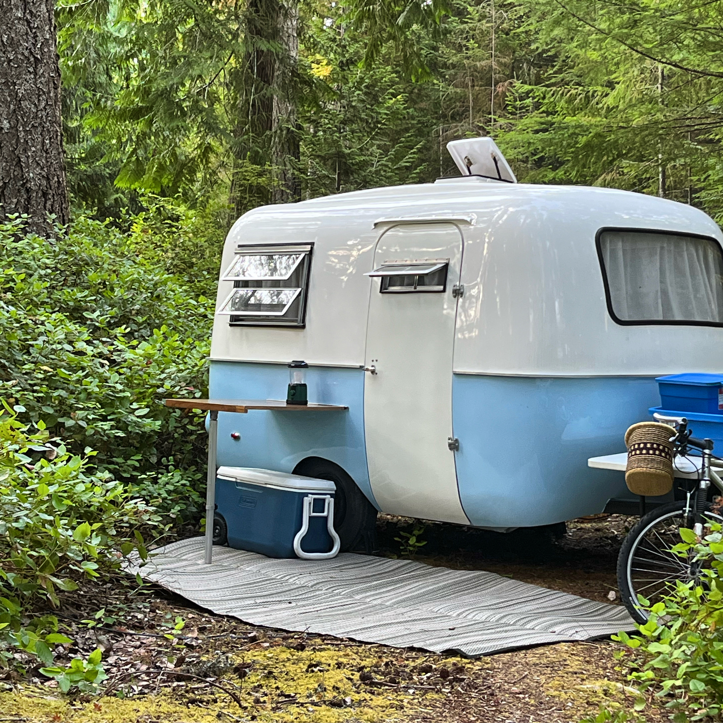 The Bluebird Boler trailer parked in a sunny, outdoor setting.
